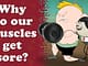 Why do our muscles get sore? | #aumsum #kids #science #education #children